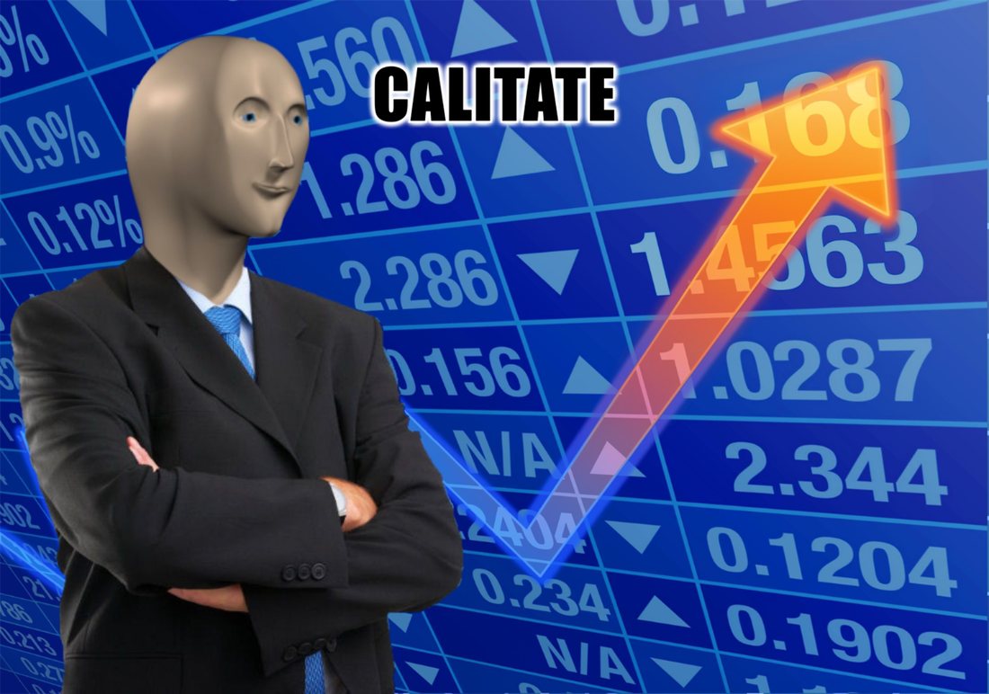 Meme stonks